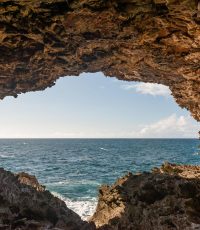 Animal flower cave in barbados