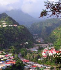 Rosea mountains dominica